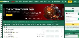 Betwinner Japan A Comprehensive Guide to Online Betting