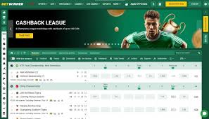 Experience the Thrill at Betwinner Casino