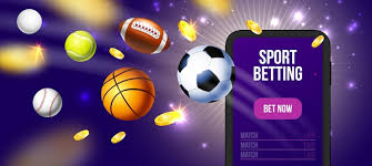 Get ready for massive wins with Vivi’s premium betting features 8