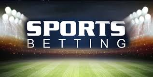 Get ready for massive wins with Vivi’s premium betting features 8