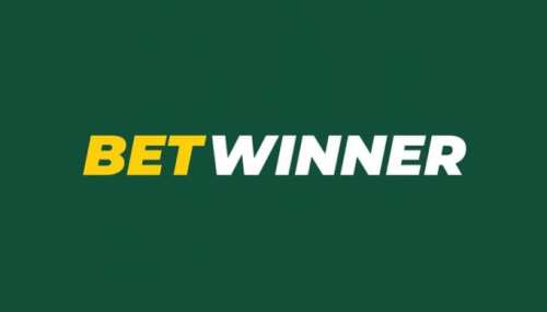 Understanding Betwinner Privacy Policy