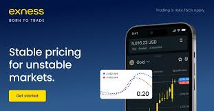 Exploring Exness Social Trading A New Frontier in Forex Trading