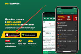 The Exciting World of Sports Betting
