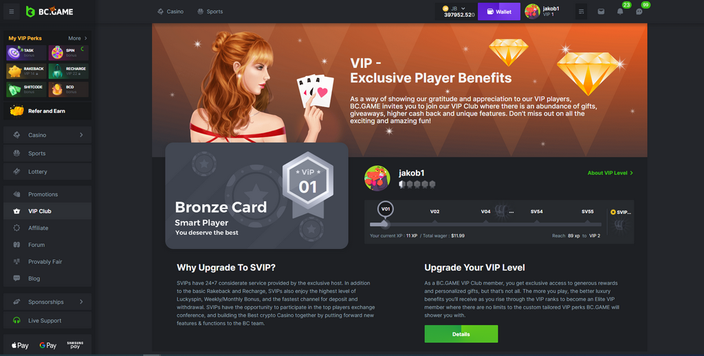BC.Game Casino Site Online: Bet, Spin & Success Promptly